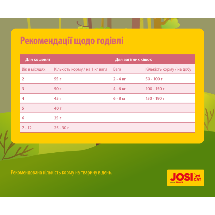 Сухий корм JosiCat Kitten для кошенят 0.650 кг 