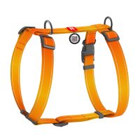 Шлейка для собак H-образный WAUDOG Nylon Mono с QR светоотражающий, размер L, Ш 25 мм, А 50-90 см, В 60-100 см оранжевый