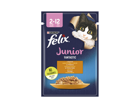 FELIX Fantastic Junior с курицей, кусочки в желе 85г