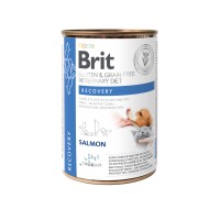 Влажный корм Brit GF VetDiets Recovery для собак и кошек, в период выздоровления, с лососем, 400 г