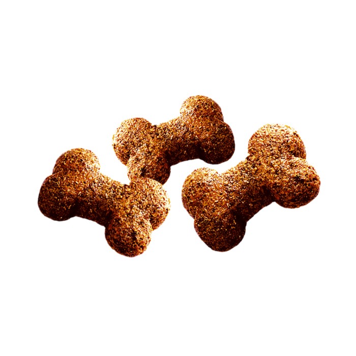 Лакомства для собак Brit Care Dog Crunchy Cracker Insects with Rabbit для иммунитета, насекомые, кролик и фенхель, 200 г