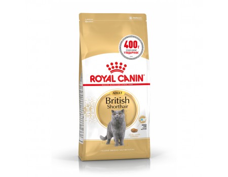 Акция // Royal Canin British Shorthair Adult  1,6 кг + 0,4 кг в подарок