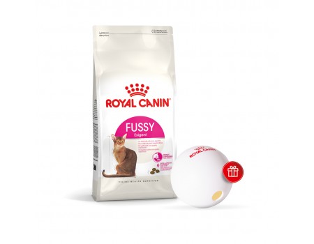 Набір: сухий корм для вибагливих котів Royal Canin Exigent Fussy, 4 кг + диспенсер для корму
