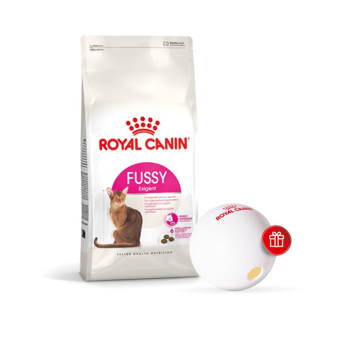 Набір: сухий корм для вибагливих котів Royal Canin Exigent Fussy, 4 кг + диспенсер для корму