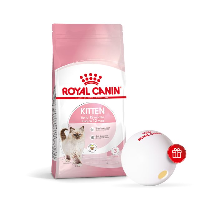 Набір: сухий корм для кошенят Royal Canin Kitten, 4 кг + диспенсер для корму