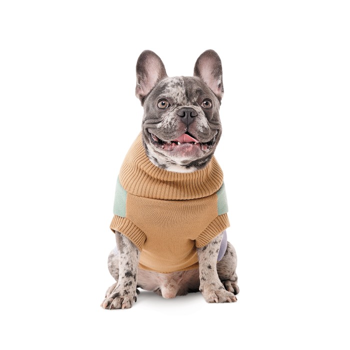 Светр в'язаний Pet Fashion  Rich для собак такса XS