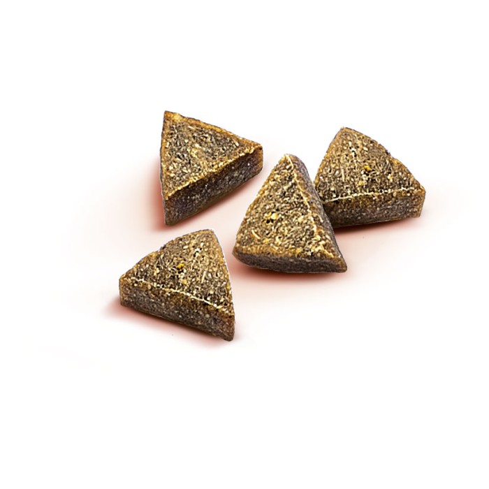 Функциональные лакомства для собак Brit Care Functional Snack Antiparasitic Salmon с лососем, 150 г