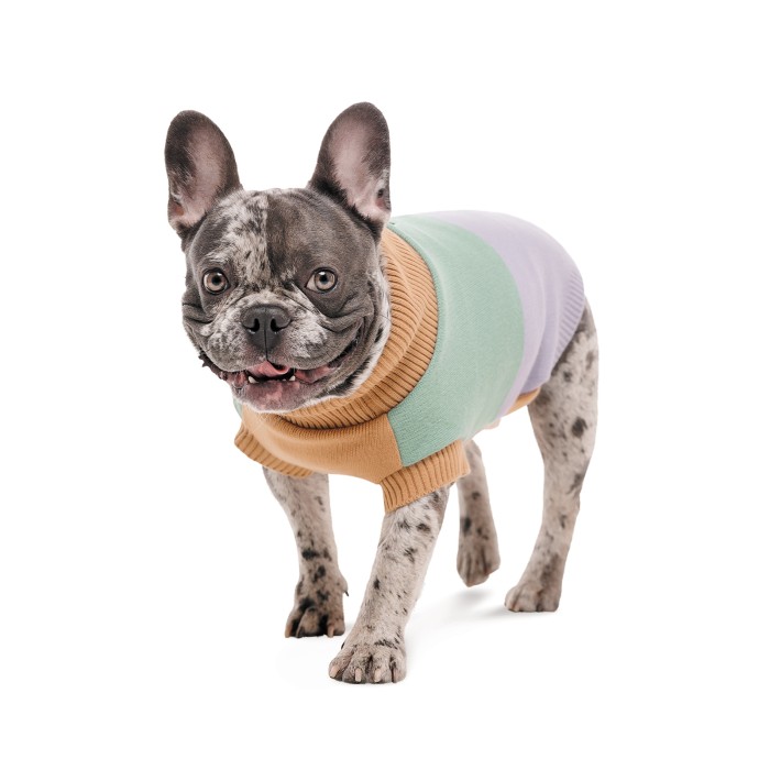 Светр в'язаний Pet Fashion  Rich для собак такса XS