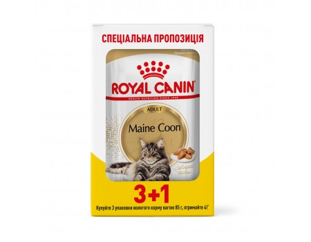 Акция 3+1 // Влажный корм для взрослых кошек ROYAL CANIN MAINECOON ADULT