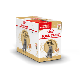 Вологий корм ROYAL CANIN BRITISH SHORTHAIR ADULT GRAVY, для дорослих котів, 9+3 шт, 12х85 г