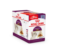 Вологий корм ROYAL CANIN SENSORY SMELL JELLY для дорослих котів, cтиму..