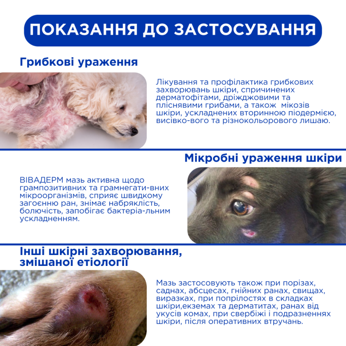 Вівадерм мазь 25 г, MODES