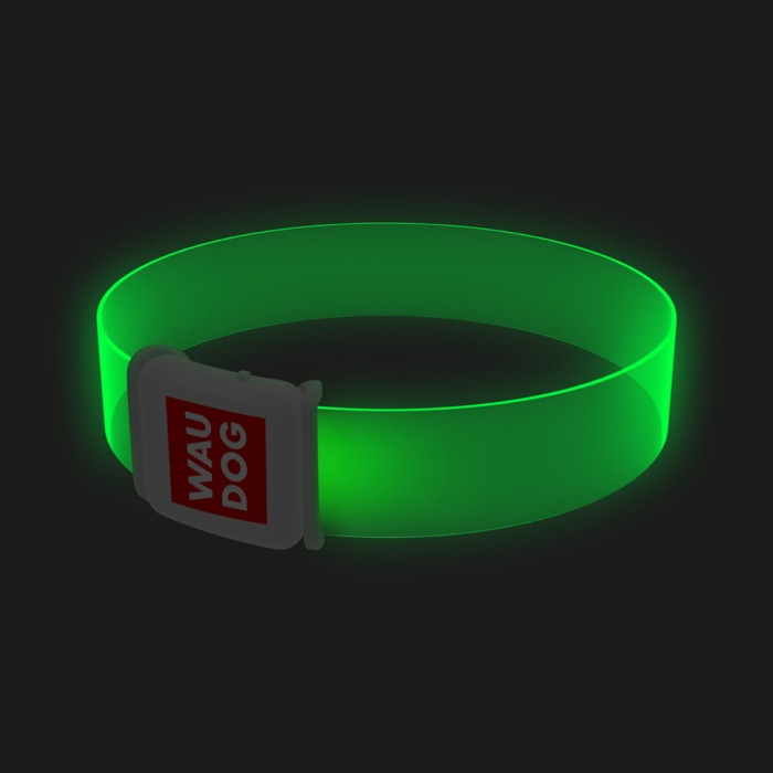 Ошейник для собак с подсветкой WAUDOG LED, магнитная застежка, Ш 25 мм, Дл 45 см