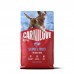 Корм сухий Carnilove Active Salmon & Turkey для cобак лосось та індичка 4 кг