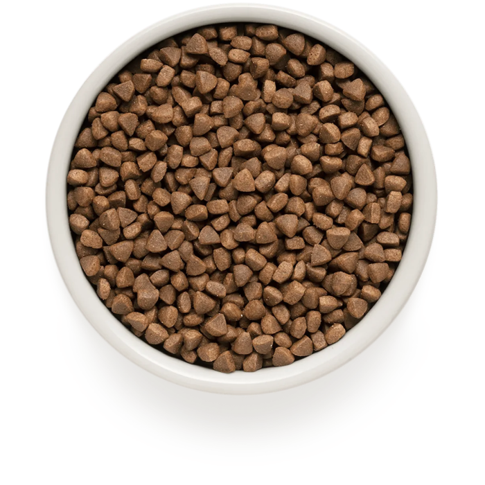 Сухий корм Grandorf Cat Indoor, для дорослих котів, ягня та індичка, 8 кг
