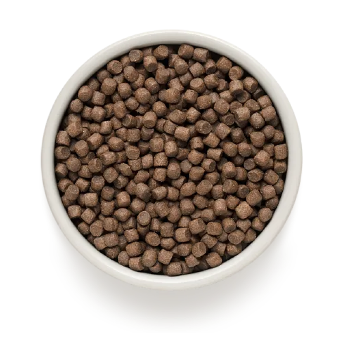 Grandorf Грандорф 4 Meat & Brown Rice Adult Mini - Грандорф Сухой корм 4 вида мяса с бурым рисом для мини пород от 1го года, 8 кг