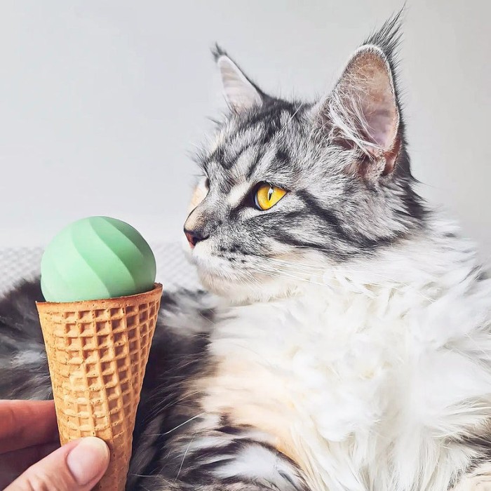 Интерактивная игрушка CHEERBLE Ball Ice Cream Blue, голубой