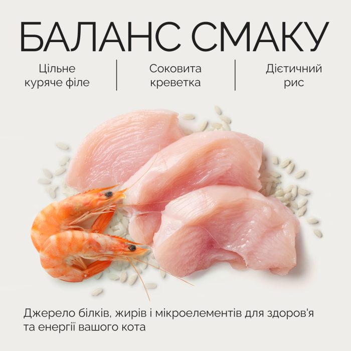 Влажный корм Savory Chicken Fillets rich in Shrimp in Jelly for Adult Cats филе курицы с креветками в желе для взрослых котов, 70 г