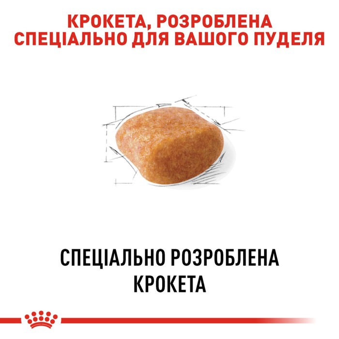 Royal Canin POODLE ADULT 1,2 кг+ 300 г в подарунок