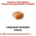 Royal Canin POODLE ADULT 1,2 кг+ 300 г в подарунок  - фото 2