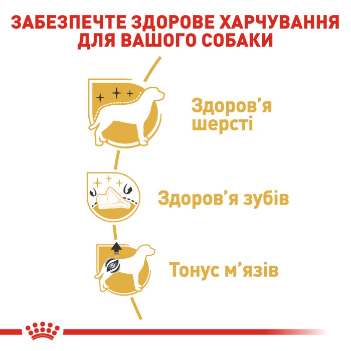 Royal Canin POODLE ADULT 1,2 кг+ 300 г в подарунок