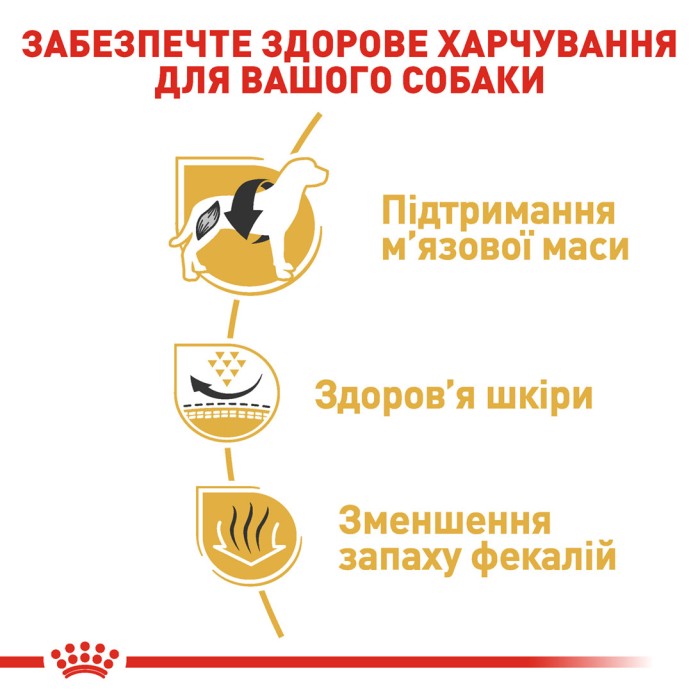 Royal Canin FRENCH BULLDOG ADULT - 1.2 кг + 300 г в подарунок