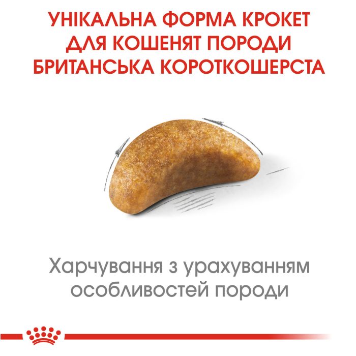 ***Royal Canin KITTEN BRITISH SHORTHAIR - 2кг (термін придатності 11.2026)