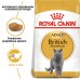 Акция Корм для взрослых кошек ROYAL CANIN BRITISH SHORTHAIR 8 кг + 2 кг  - фото 2