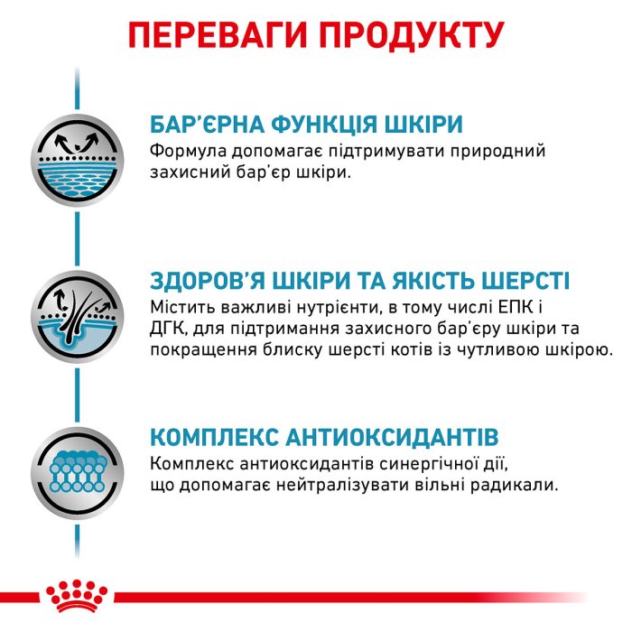 Royal canin Feline SKIN&COAT (SIG) 8+4