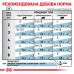 Royal canin Feline SKIN&COAT (SIG) 8+4  - фото 3