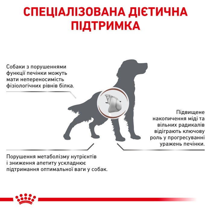Royal canin HEPATIC DOG 7 kg