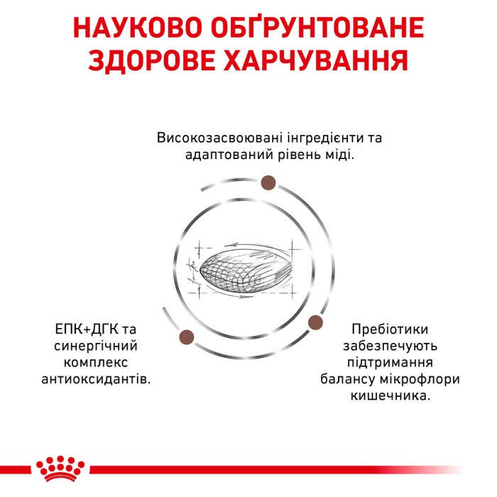 Royal canin HEPATIC DOG 7 kg