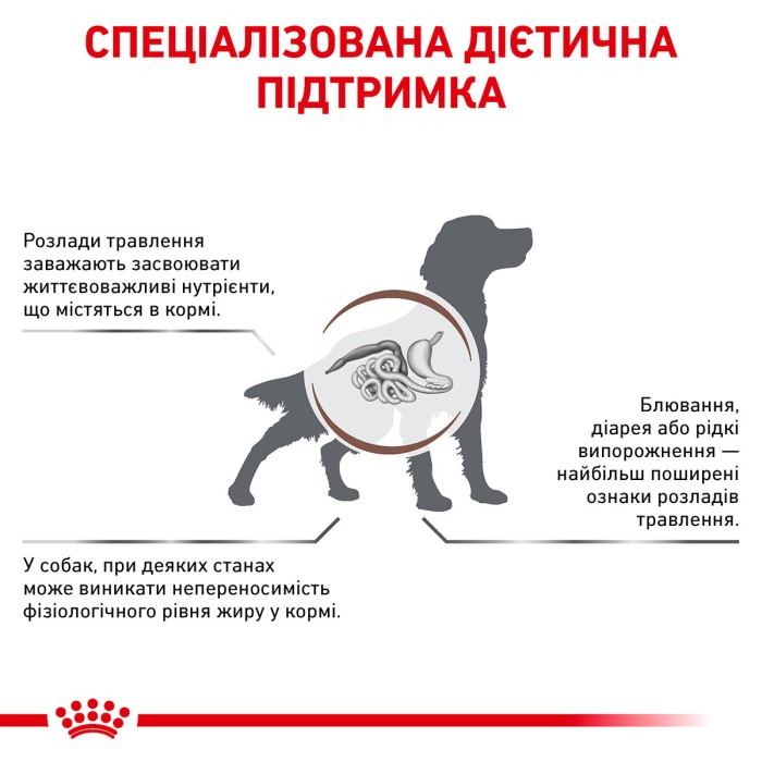 Royal canin GASTROINTESTINAL LOW FAT DOG 6 kg