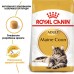 Royal Canin MAINECOON ADULT - 3,2кг + 800 г в подарунок  - фото 2