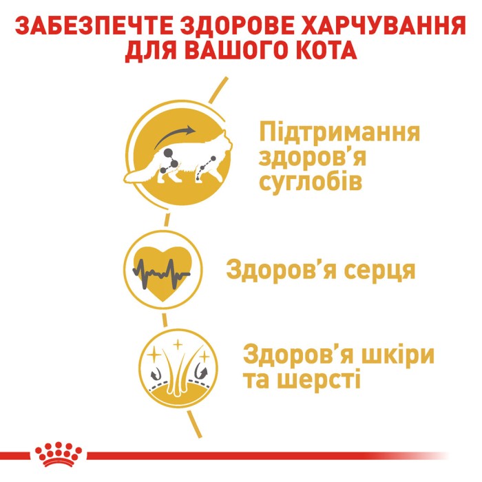 Royal Canin MAINECOON ADULT - 3,2кг + 800 г в подарунок