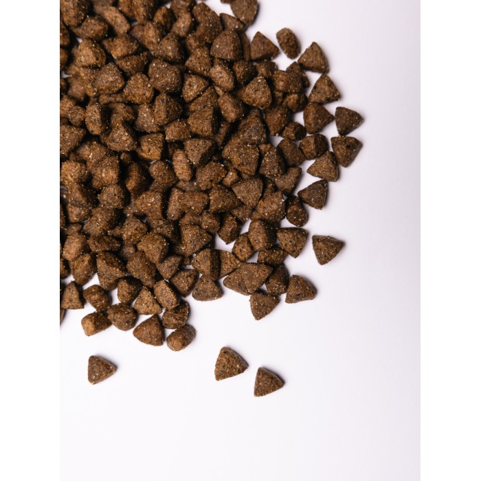 Сухой корм для стерилизованных собак Savory All Breed Sterilised rich in FreshTurkey со свежим мясом индейки, 12 кг