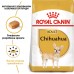 Сухой корм ROYAL CANIN CHIHUAHUA ADULT для взрослых собак породы чихуахуа, 3 кг + миска для медленного питания в подарок  - фото 2