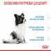 Сухой корм Royal canin XSMALL PUPPY 1.5 кг + веревочный мяч в подарок  - фото 2