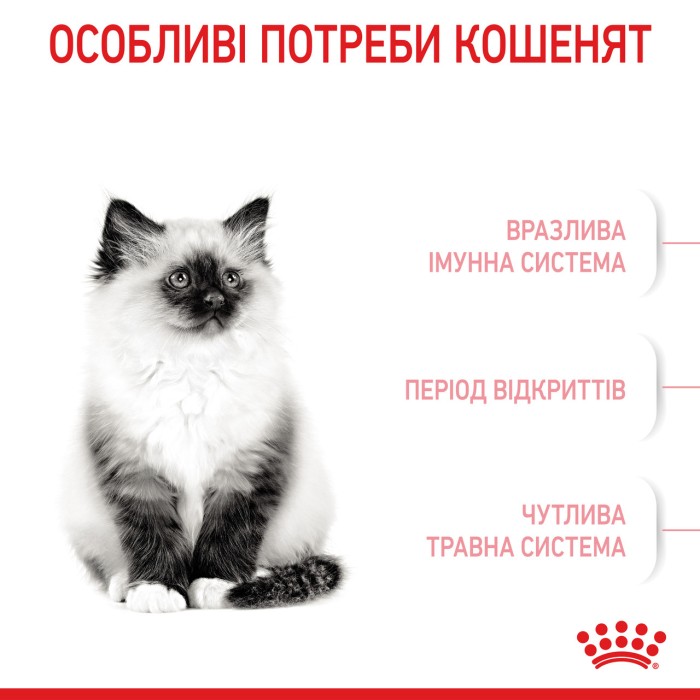 Набір для кошенят ROYAL CANIN KITTEN 1.2 кг +3 паучі 0.085 кг 