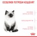 Набір для кошенят ROYAL CANIN KITTEN 1.2 кг +3 паучі 0.085 кг   - фото 4