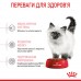 Сухой корм для котят Royal canin KITTEN 3.2 кг + 800 г в подарок  - фото 2