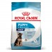 ***Royal Canin SHN MAXI PUPPY PC 12kg + 3kg  (термін придатності 09.2026)