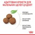 ***Royal Canin SHN MAXI PUPPY PC 12kg + 3kg  (термін придатності 10.2026)  - фото 2