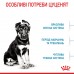 Сухой корм ROYAL CANIN MAXI PUPPY для щенков больших пород, 4 кг + миска для медленного питания в подарок  - фото 4