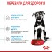 Сухой корм для щенков Royal canin MAXI PUPPY 3.2 кг + 800 г в подарок  - фото 2