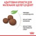 Сухой корм ROYAL CANIN MEDIUM PUPPY для щенков средних пород, 4 кг + миска для медленного питания в подарок  - фото 5