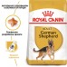 Сухой корм ROYAL CANIN GERMAN SHEPHERD ADULT 11 kg + лакомство EDUC 30 шт.  - фото 2