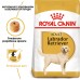 Сухой корм ROYAL CANIN LABRADOR ADULT 12 kg + лакомство EDUC 30 шт.  - фото 2