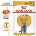 Влажный корм Royal Canin BRITISH SHORTHAIR Adult, 1.06 кг, 8 паучей + 4 пауча в подарок  - фото 2