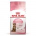 Перший набір для кошенят ROYAL CANIN KITTEN STERILISED 0.4 кг + вологий корм 0.085 кг   - фото 2